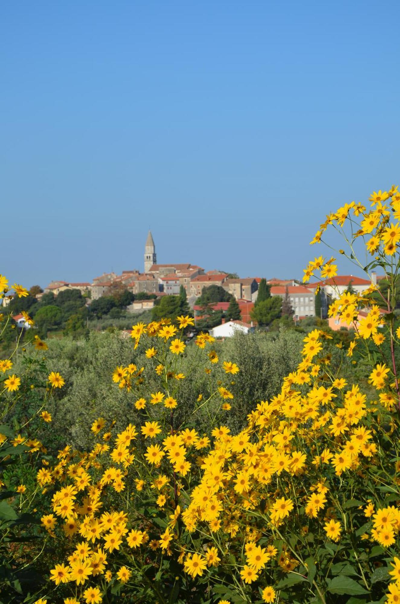 Villa Leopoldo By Istrian Country Houses Barat  エクステリア 写真