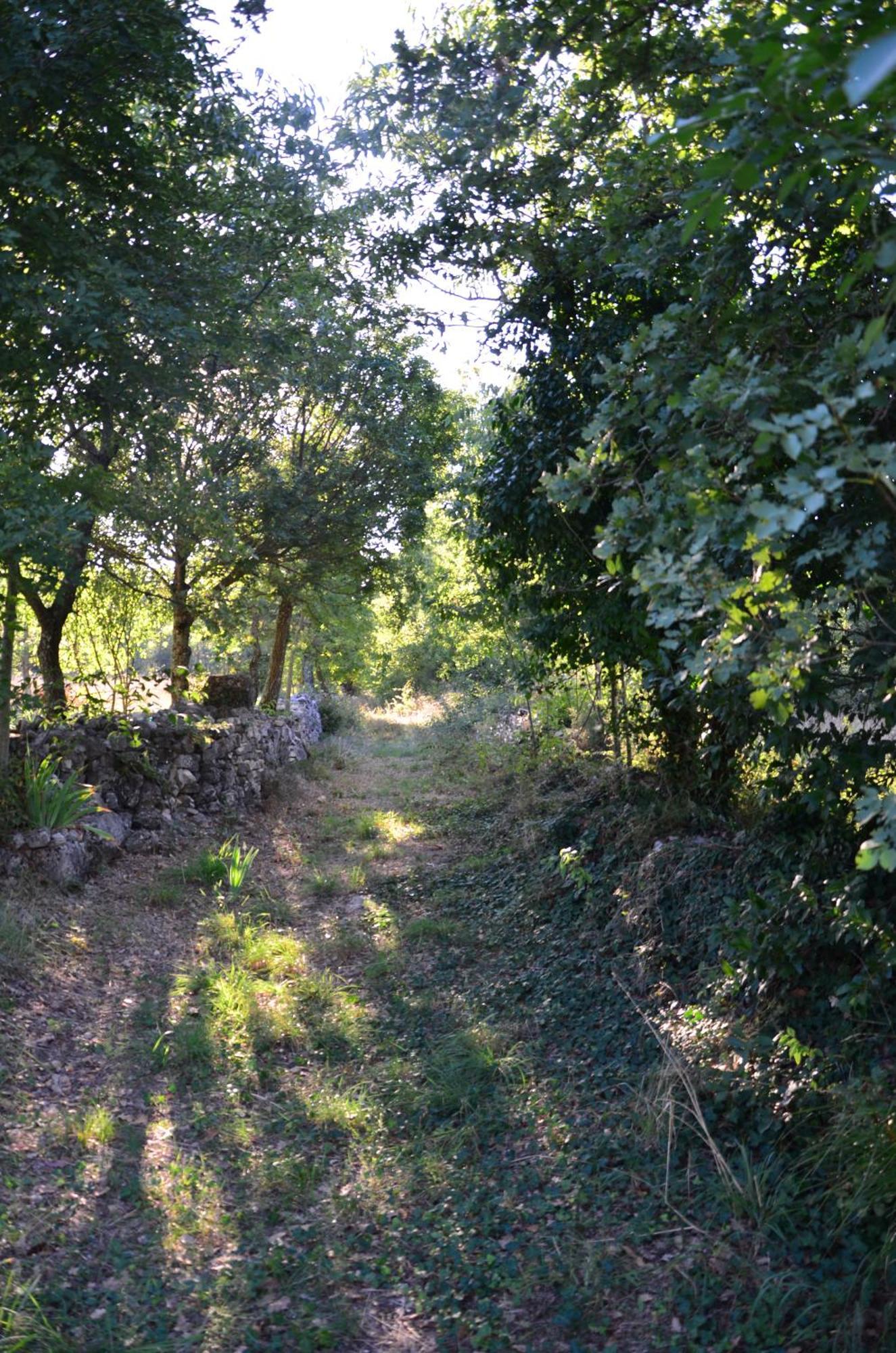 Villa Leopoldo By Istrian Country Houses Barat  エクステリア 写真