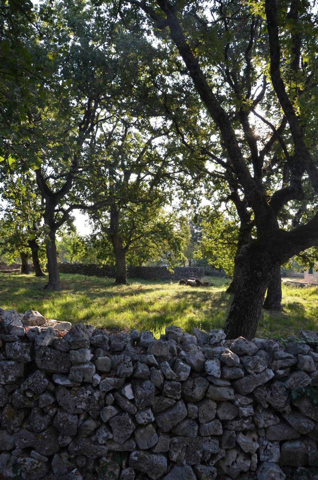 Villa Leopoldo By Istrian Country Houses Barat  エクステリア 写真