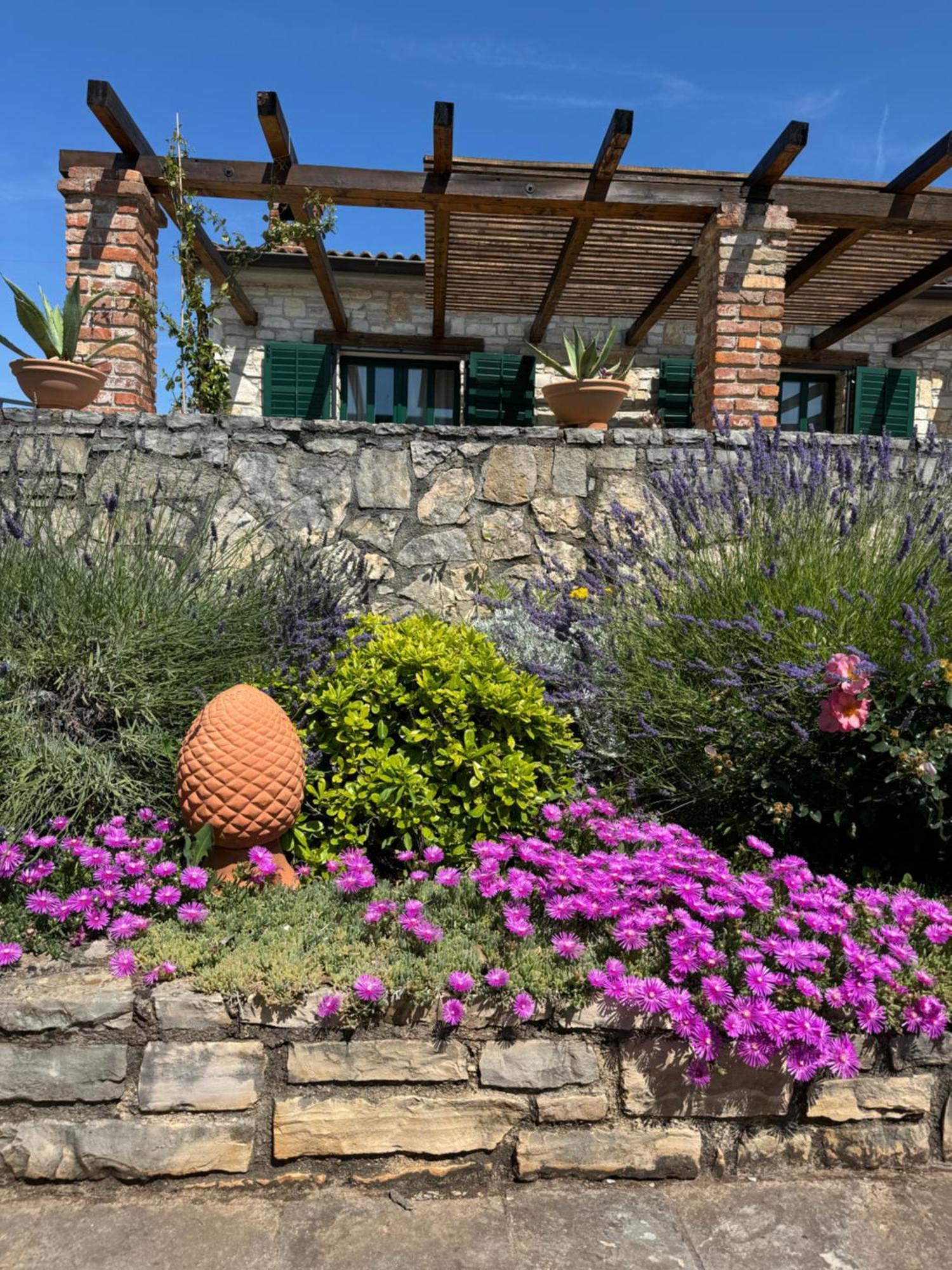 Villa Leopoldo By Istrian Country Houses Barat  エクステリア 写真