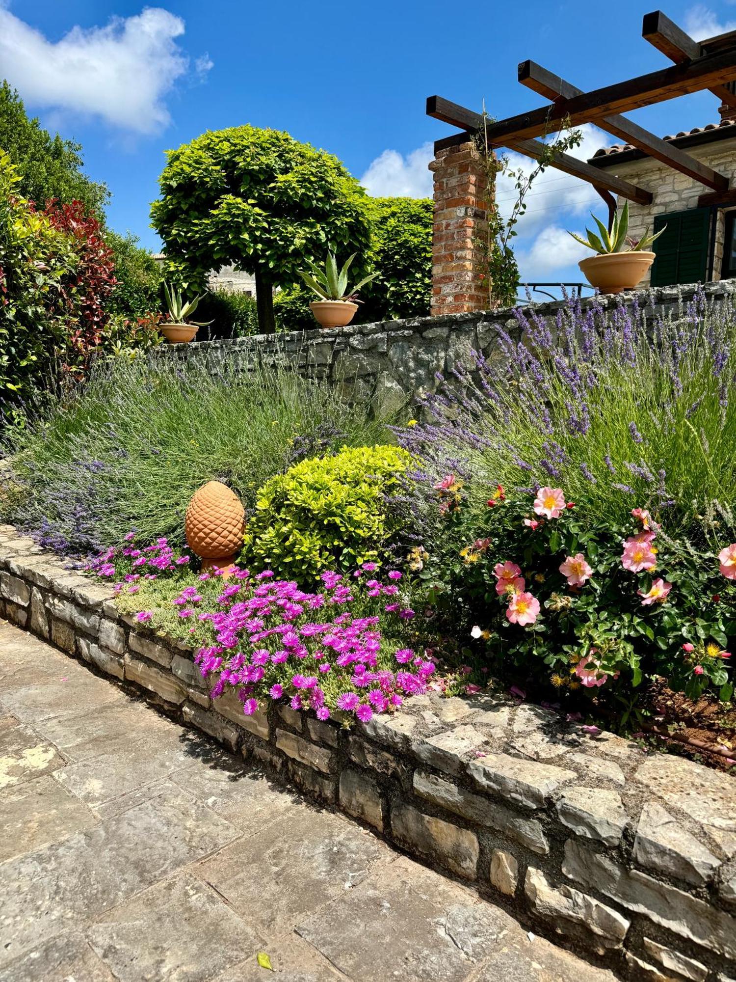 Villa Leopoldo By Istrian Country Houses Barat  エクステリア 写真
